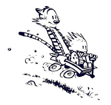 Image result for calvin wagon