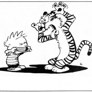 Calvin and Hobbes Archives - STICKERSHOCK23.COM